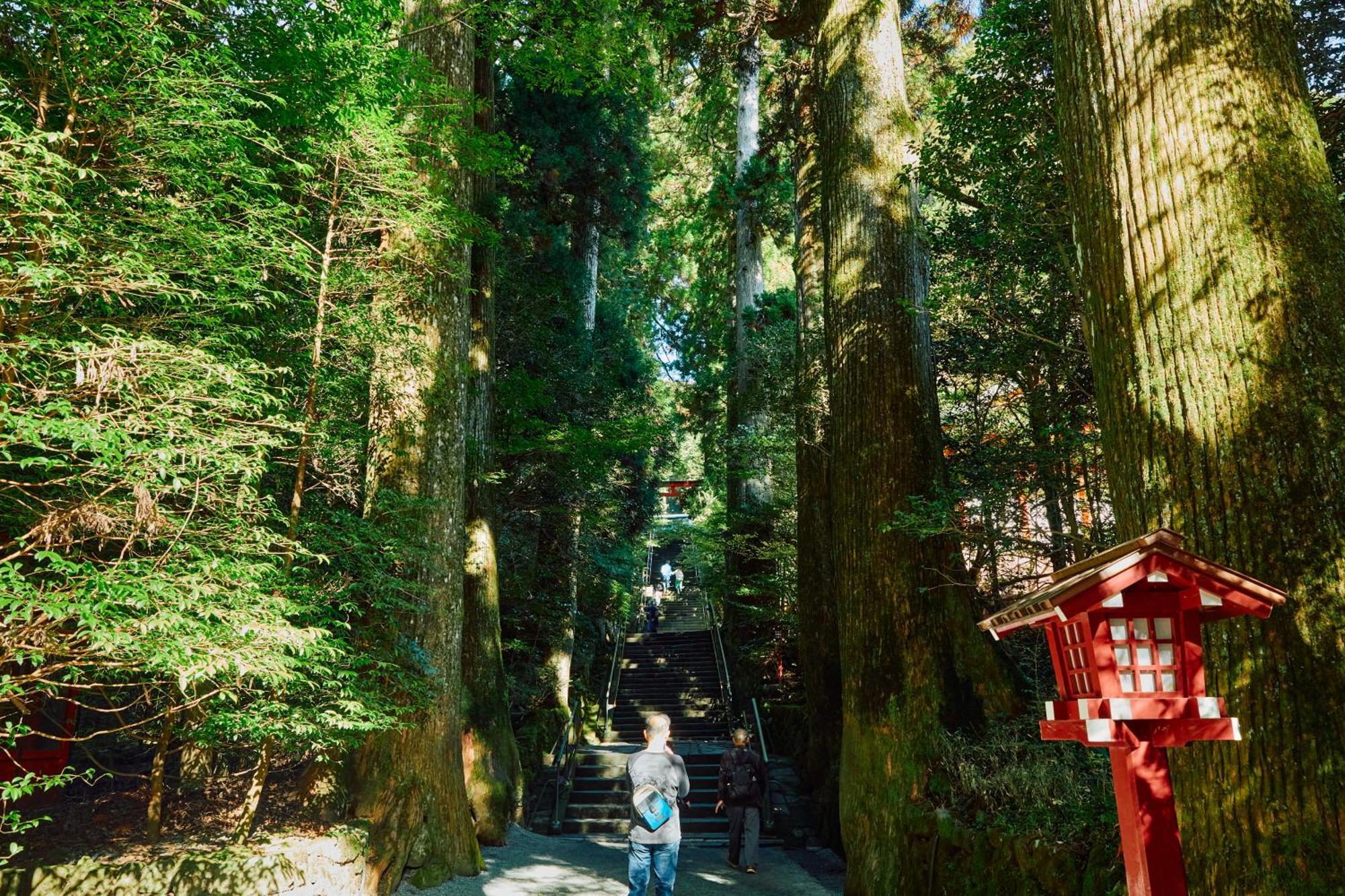 Villa Hakone Kabuto 古民家旅館 150平米 バス停迄一分 準天然温泉 最大12名 Exterior foto